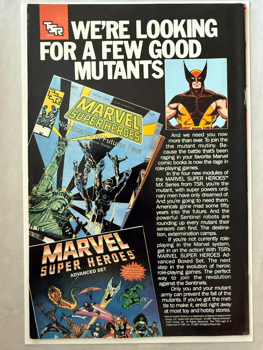 Web of Spider-Man