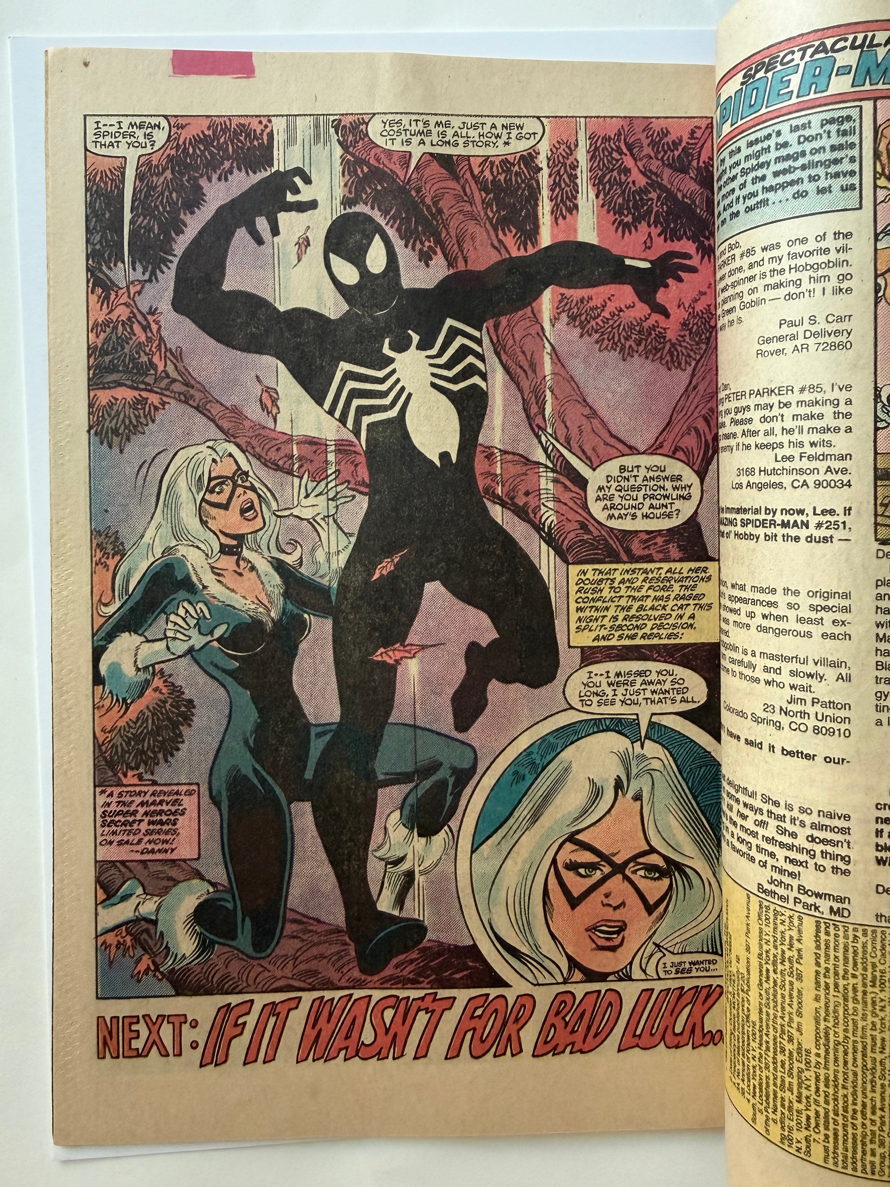Peter Parker: The Spectacular Spider-Man