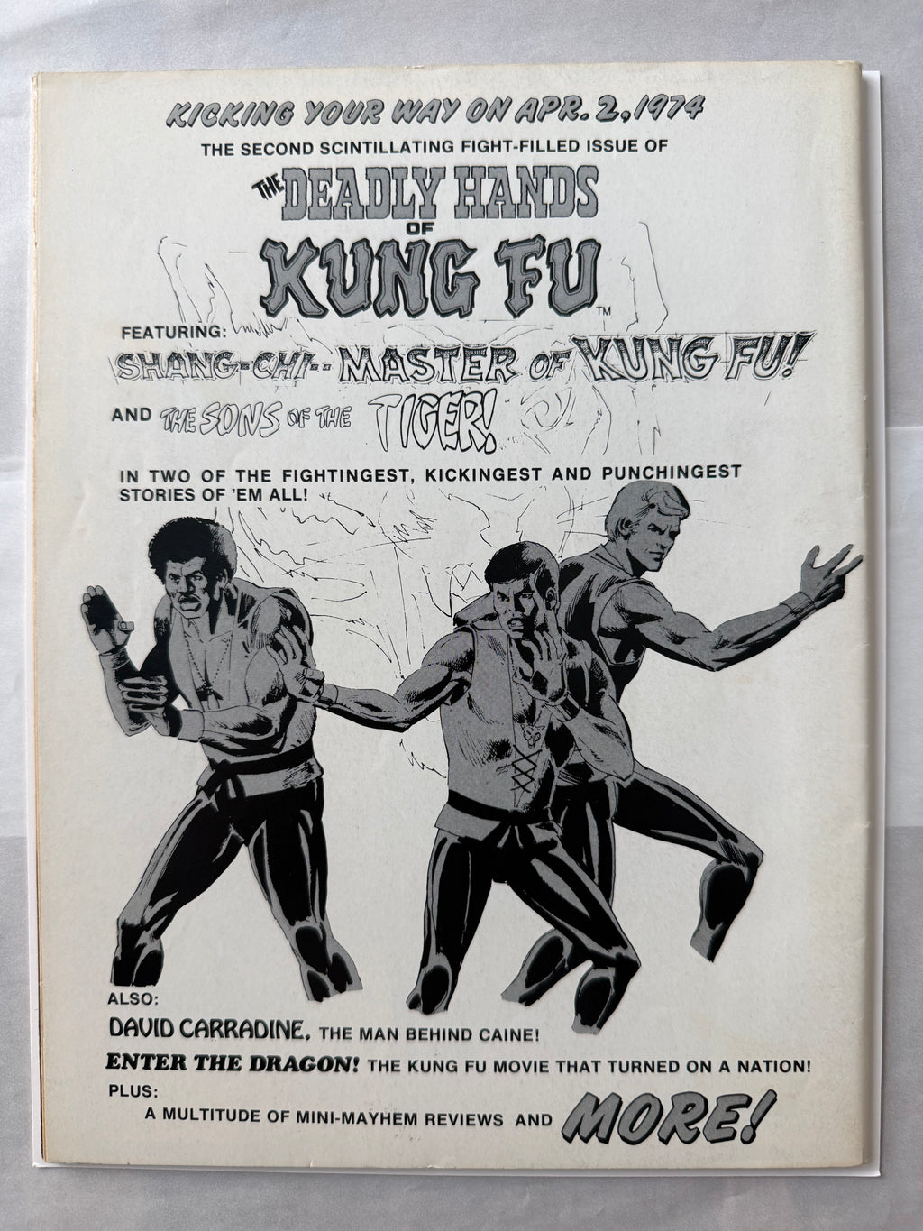 Deadly Hands of Kung-Fu